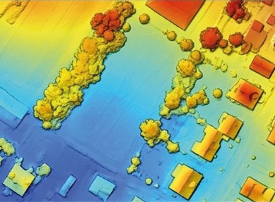 Modèle numérique de surface en fausses couleurs d'un quartier